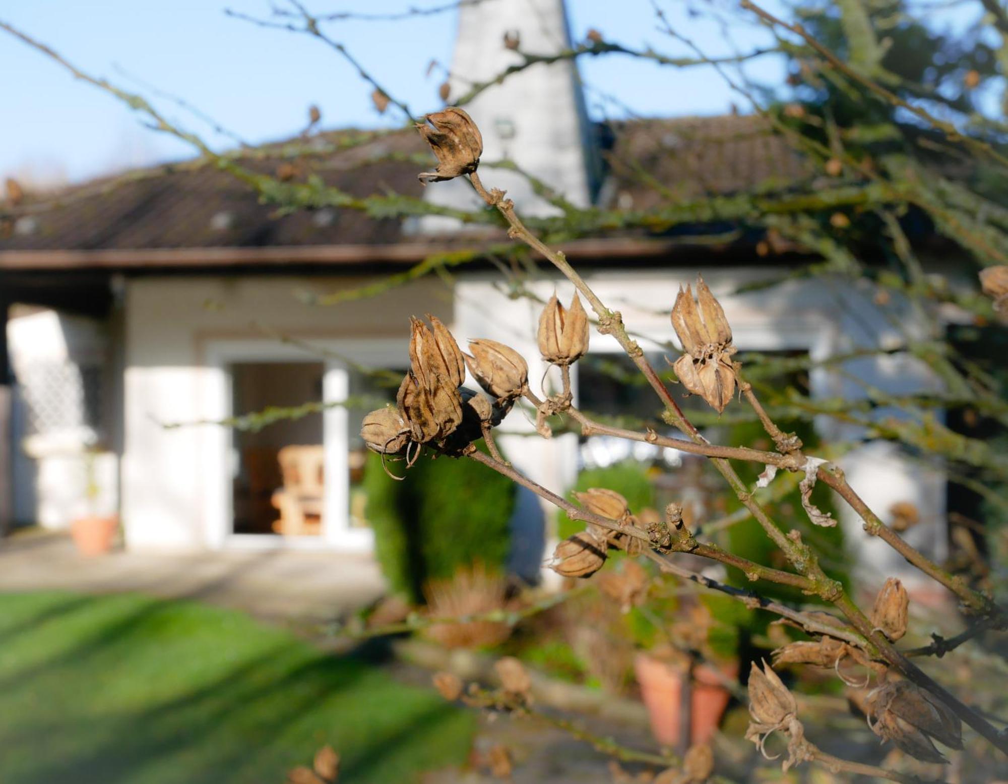 Ferienhaus Seepark Ternsche mit Bootsanleger Selm Exterior foto